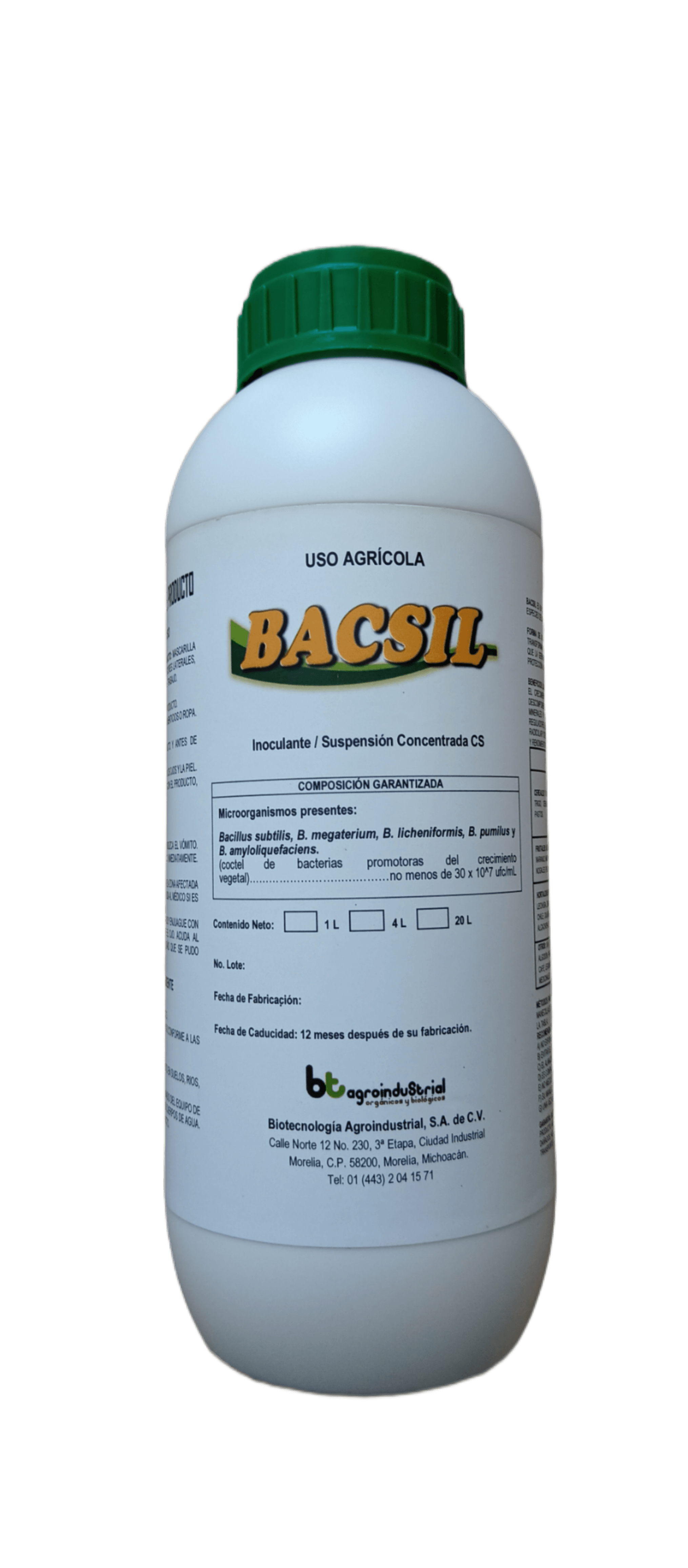 Presentación de Bacsil
