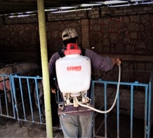 Aplicación de Acneem en una instalación porcícola